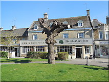 SP1620 : The Chestnut Tree. Bourton on the Water by Paul Gillett