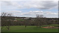 Looking across Whitley Woods