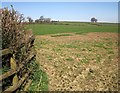 Fields west of Longcross