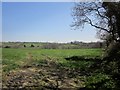 Field near Milton Green