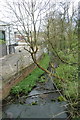 Newcastle-under-Lyme: Lyme Brook below Pool Dam