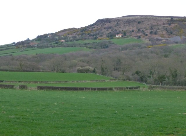 Pasture above Hammond's Wood