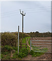 A footpath at Burfordlane Farm