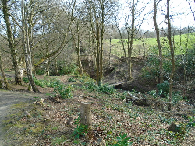 View to the bridge in Crow Wood