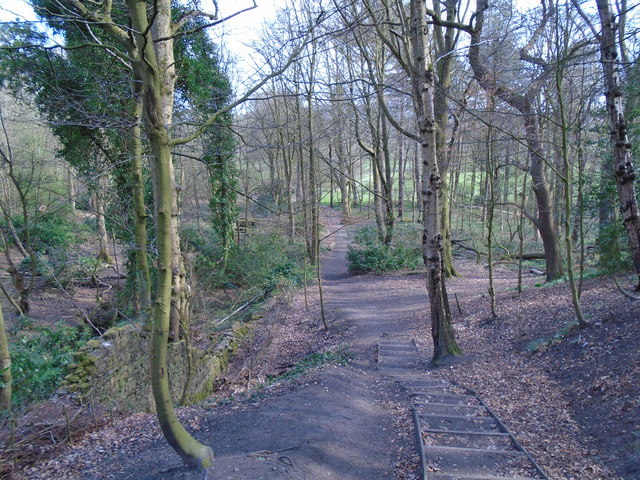 Steps on the path in Crow Wood