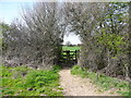 Gate on the public footpath around the western side of Wain Wood, Preston