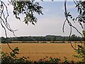 Fields west of Leesthorpe Road