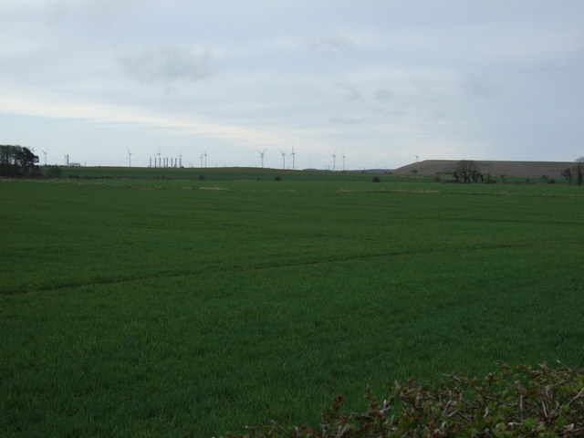 Crop field south of Ulgham