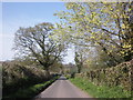 Minor road to Barford Park