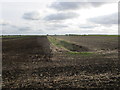 Drain on Digby Fen