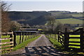 West Somerset : Farm Track