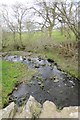 Mountain stream