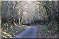 West Somerset : Thorne Lane