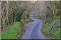 West Somerset : Thorne Lane