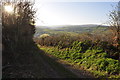 West Somerset : Hare Path