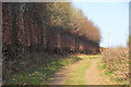 West Somerset : Hare Path