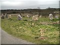SD5831 : Stone Circle at Brockholes by David Dixon
