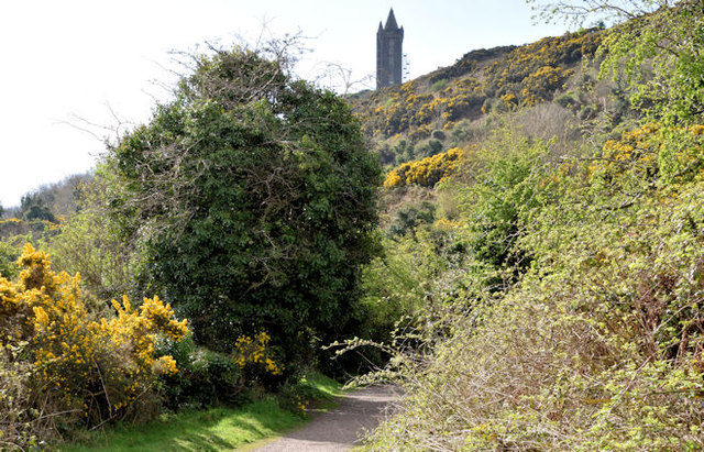 Path to Scrabo Tower, Newtownards (April 2015)