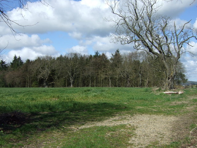 Crop field towards the Fleets (woodland)