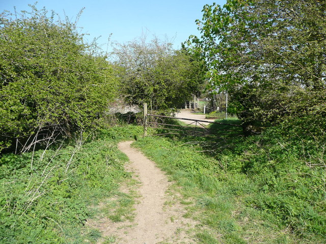 Gate at the eastern end of Buttercup Lane