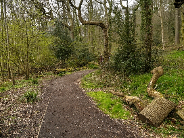 Path in Boilton Wood