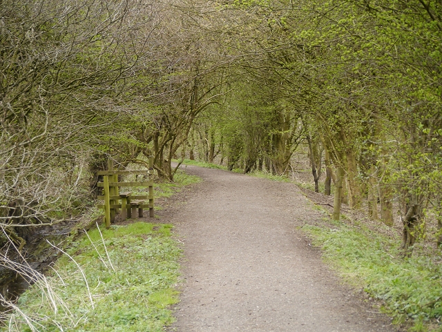 Path at Brockholes Nature Reserve
