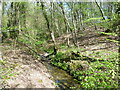 Stream  next to Hale Oak Road