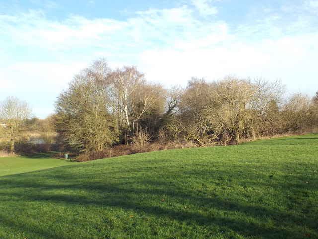 The spinney in Myton Fields, Warwick © Robin Stott :: Geograph Britain ...