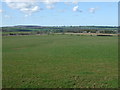 Farmland near Hitchcroft