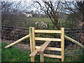 Llwybr Blaen Cwarau Path