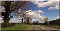 Approaching Newnes road junction