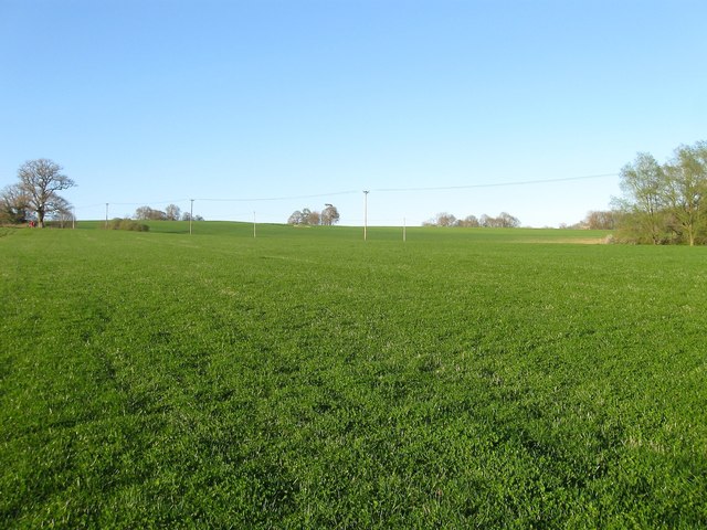 Kiln Field (1)