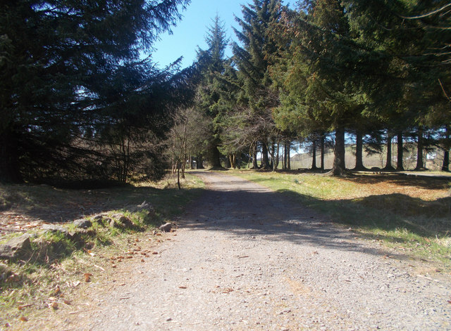 Carron Valley forest track