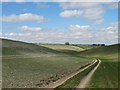 TF1695 : Lincolnshire Wolds - south of Thoresway by Neil Theasby