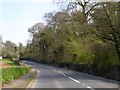 A379 passing Lodge Plantation, near Kitley House