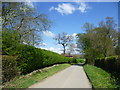 Hale Oak Road alongside Brownings Cottage