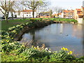 Evening  sun  on  Little  Driffield  village  pond