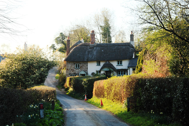 Cottage and Road