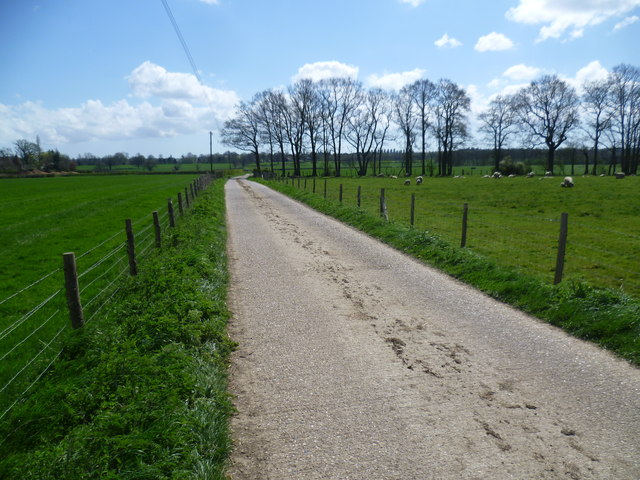 Driveway to Leigh Park Farm