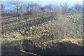 Railway cutting near Thurmaston