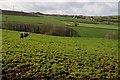 Farmland near Orchard Farm