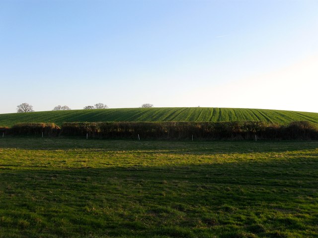 Further Barn Field