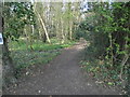 Path on Hook Heath