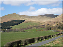 NS2987 : Hedge alongside minor road in Glen Fruin by Trevor Littlewood