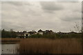 View of houses on Wyatt Drive from one of the hides in the London Wetlands Centre #2