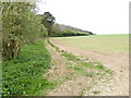 SU3349 : Field edge north of Penton Copse by Shazz