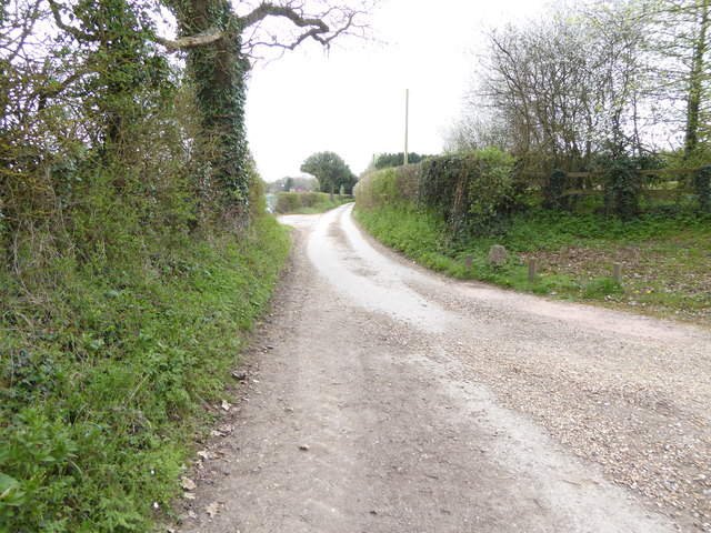 Chalkcroft Lane looking south from farm drive