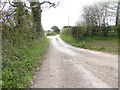 Chalkcroft Lane looking south from farm drive