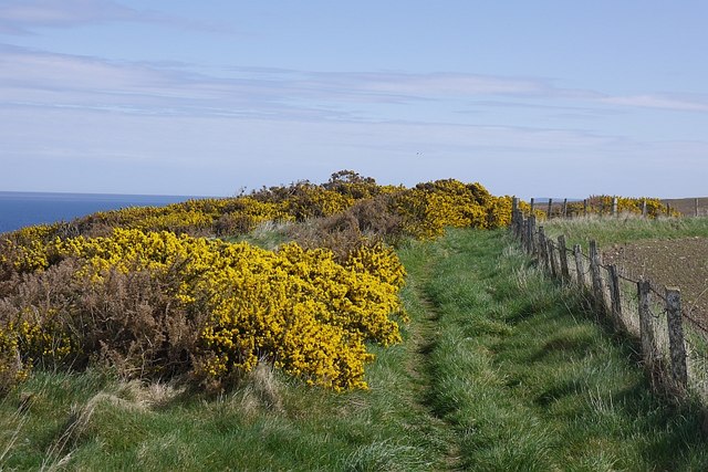 Coast path near Sandend