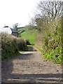 Track to Ludbrook from Shilston Gate